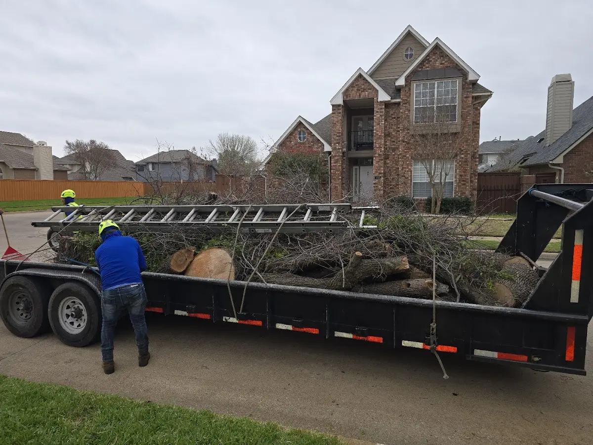 Expert Crown Reduction with proper safety equipment in Burkburnett
